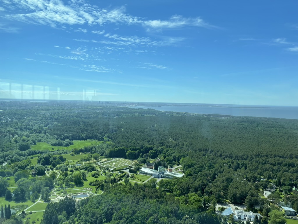 TV Tower & Botanic Garden_180938.jpeg