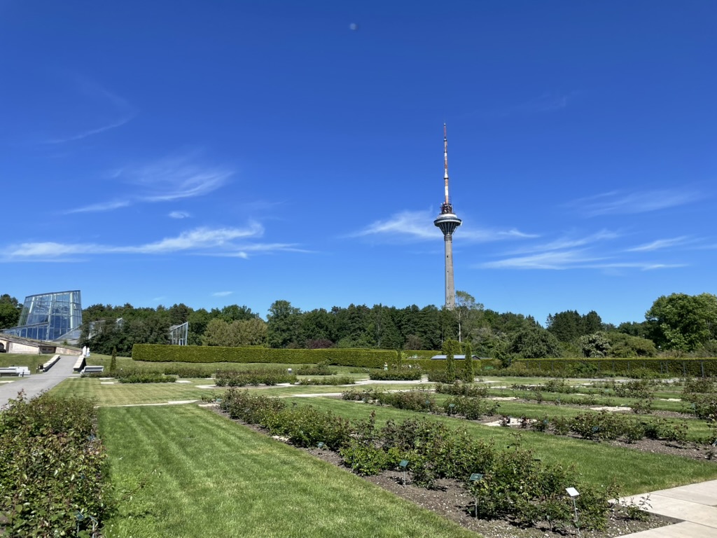 TV Tower & Botanic Garden_180951.jpeg